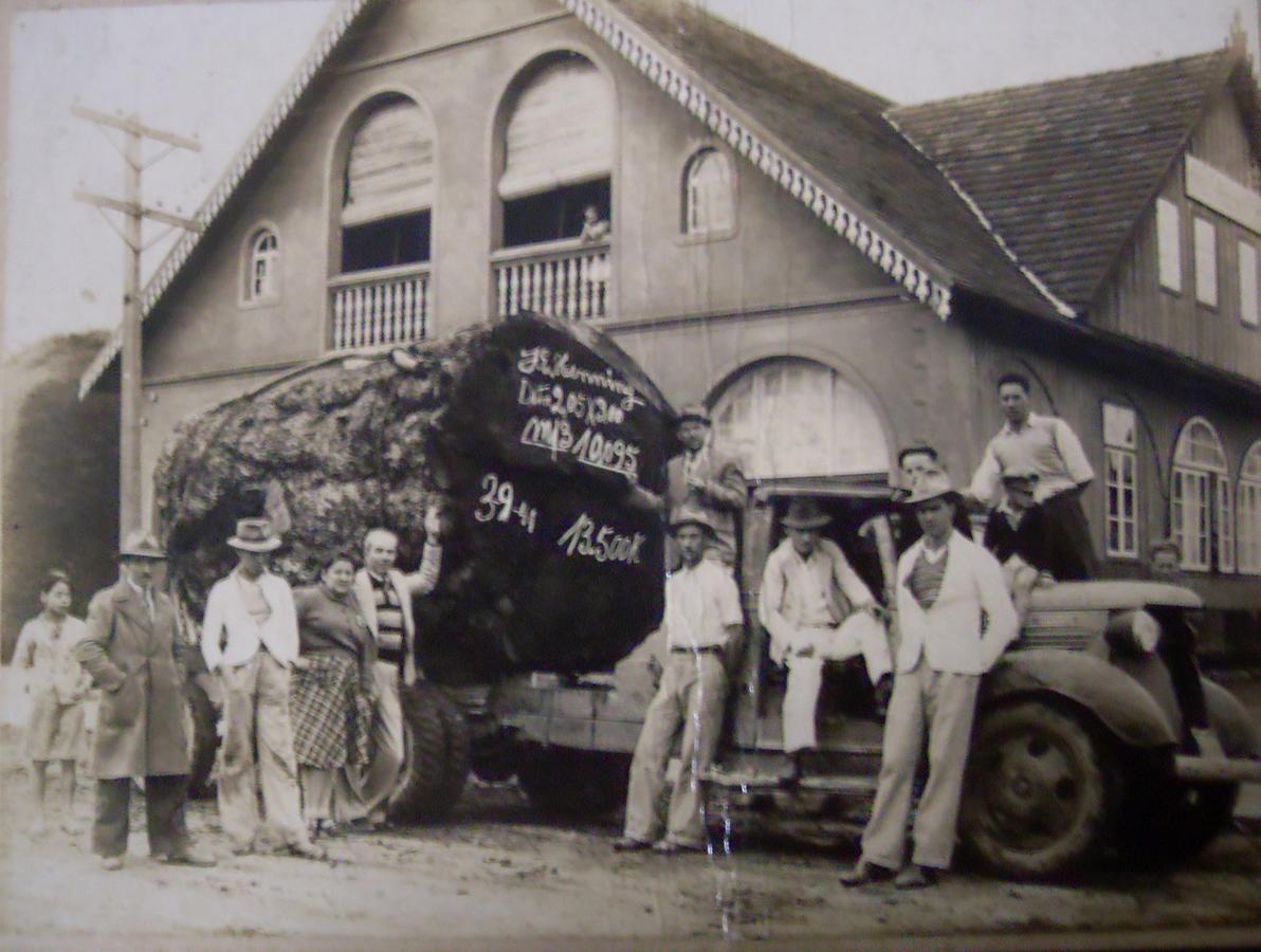 Hotel Scholze Canoinhas Esterno foto